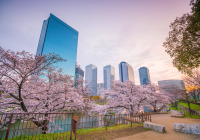 ロンメディカル｜会社概要